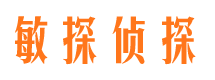 成都市调查公司